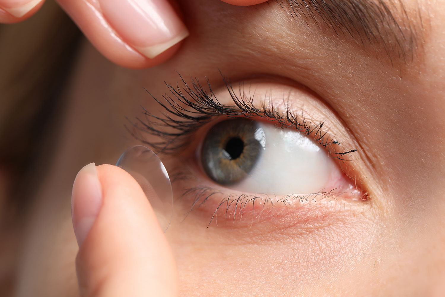 Jemm Optical Contact Lens